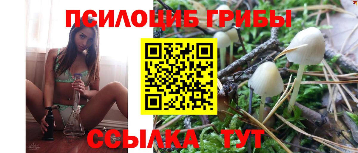 Галлюциногенные грибы мухоморы  Вход с VPN  Солнечногорск  где можно купить   Псилоцибиновые грибы GOLDEN TEACHER 
